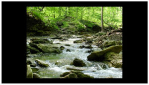 bernheim research forest